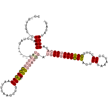 secondary structure