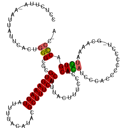 secondary structure