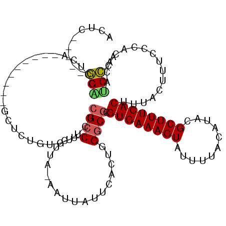 secondary structure