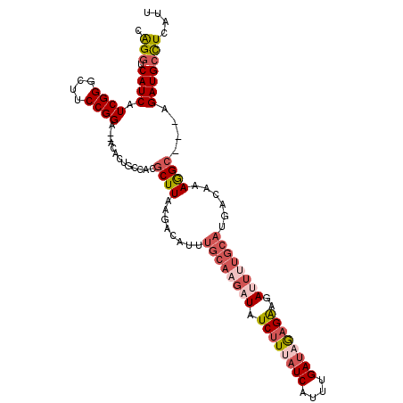 secondary structure