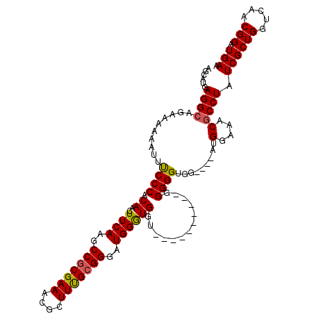 secondary structure