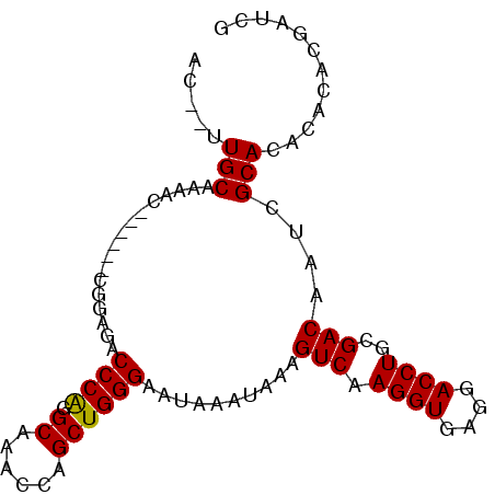 secondary structure