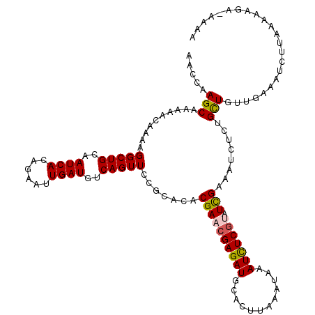 secondary structure