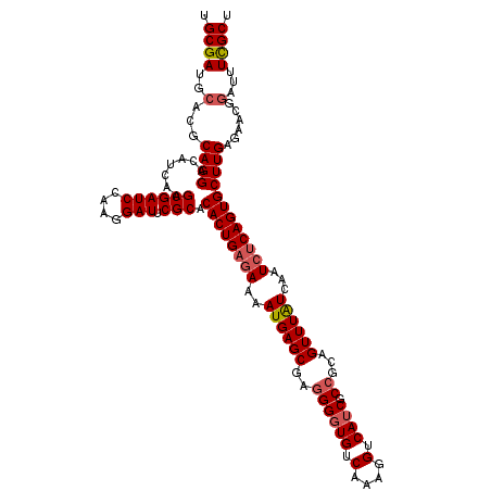 secondary structure