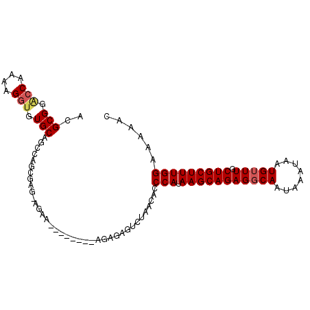 secondary structure