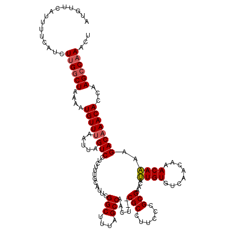 secondary structure