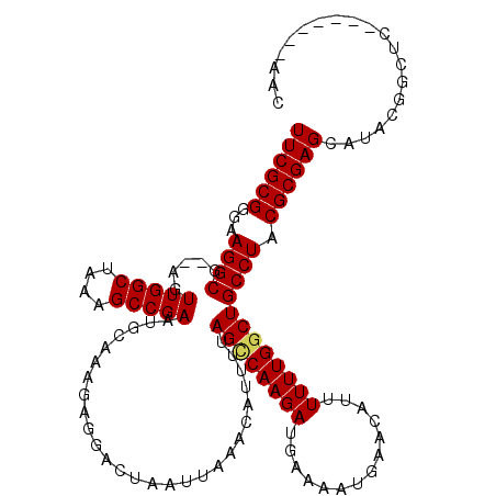 secondary structure