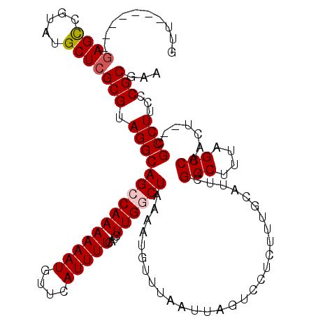 secondary structure