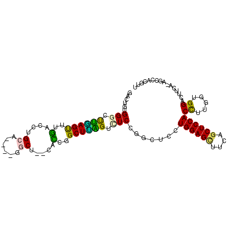 secondary structure