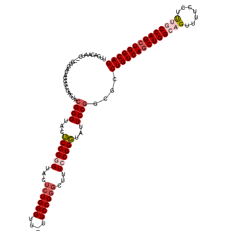secondary structure