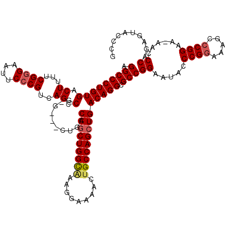 secondary structure