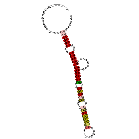 secondary structure
