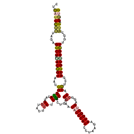 secondary structure