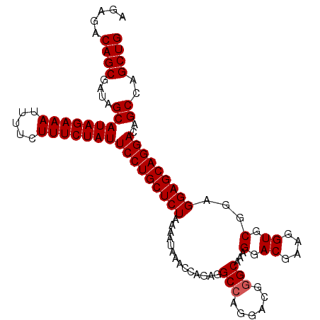 secondary structure