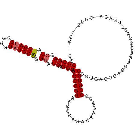 secondary structure