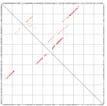 dotplot