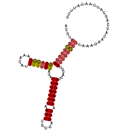 secondary structure