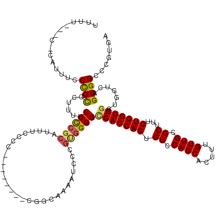 secondary structure