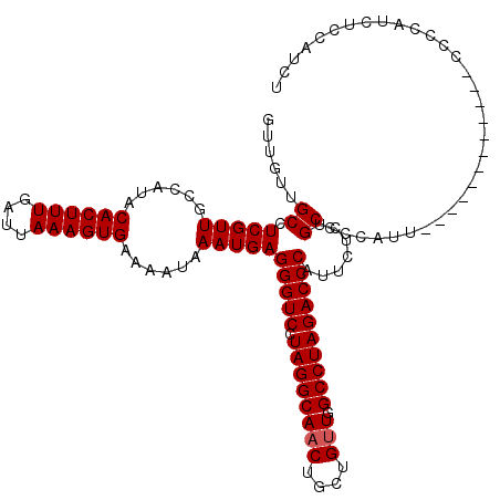 secondary structure
