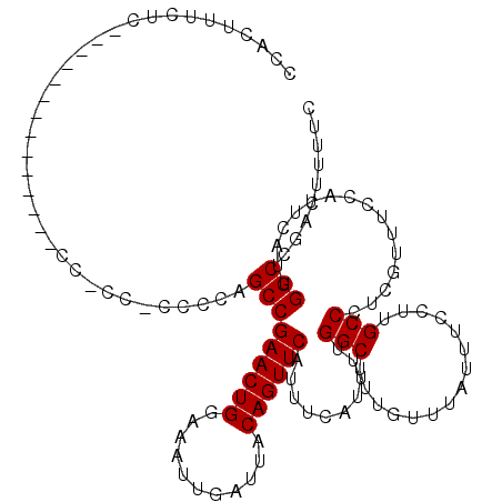 secondary structure