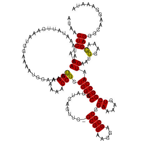 secondary structure