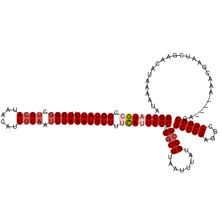 secondary structure
