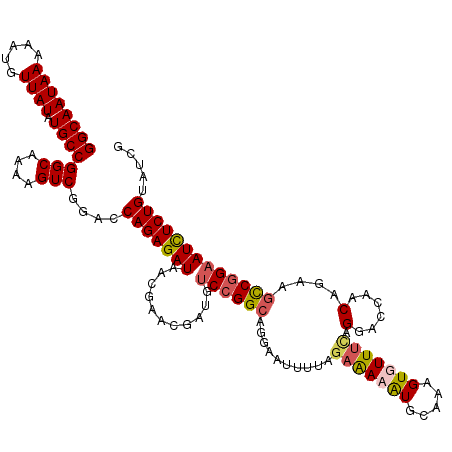 secondary structure