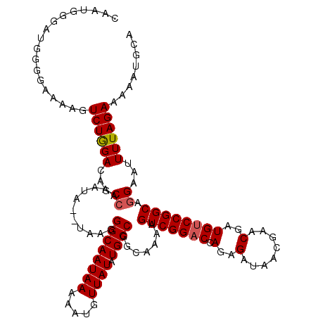 secondary structure
