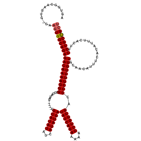 secondary structure