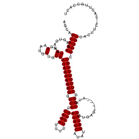 secondary structure