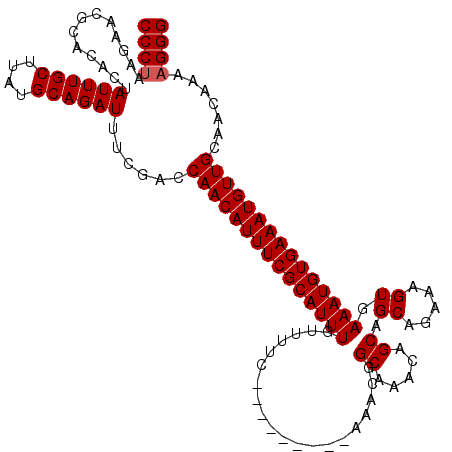 secondary structure