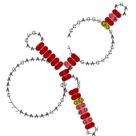 secondary structure