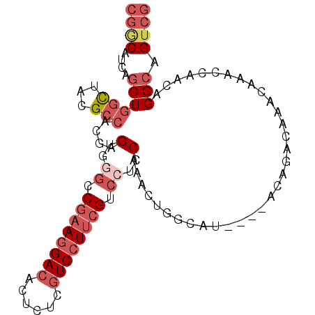 secondary structure