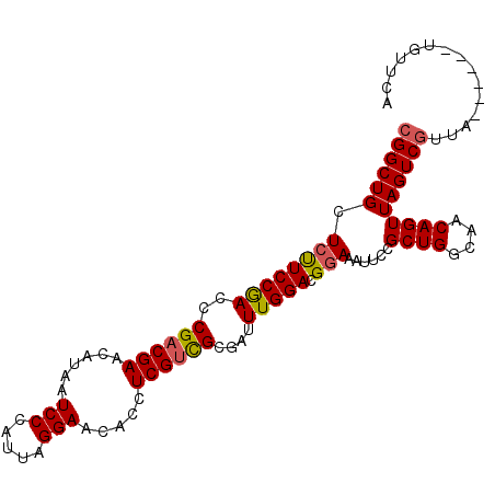 secondary structure