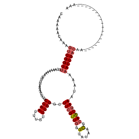 secondary structure