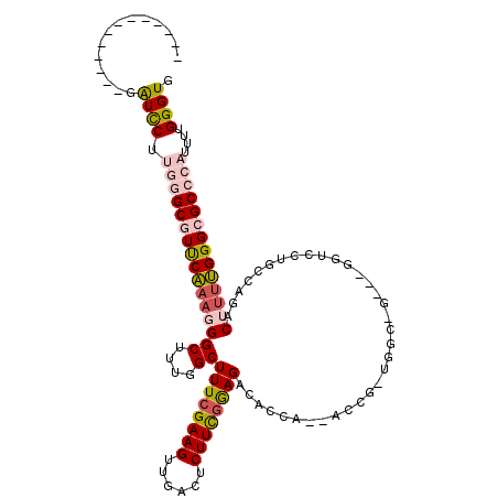 secondary structure