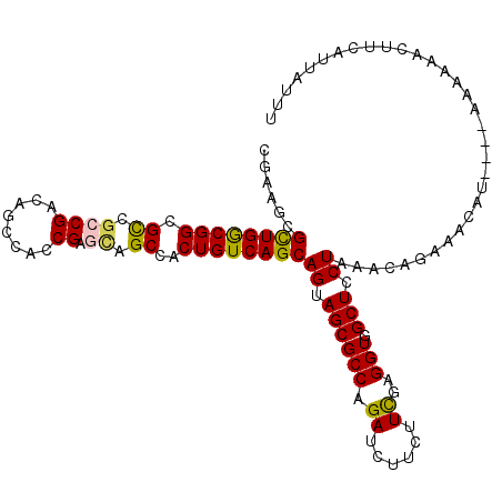 secondary structure