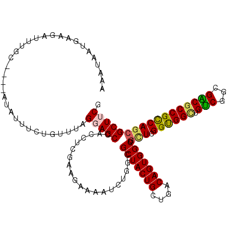 secondary structure