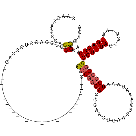 secondary structure