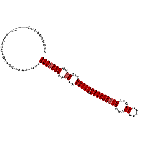 secondary structure