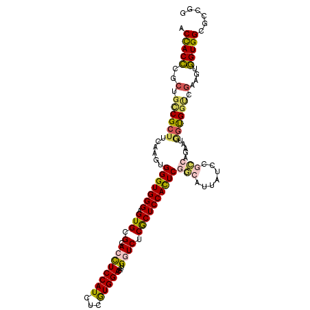 secondary structure
