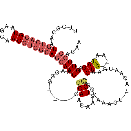 secondary structure