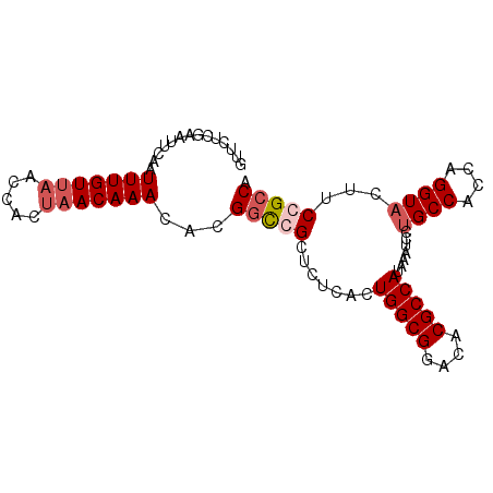secondary structure