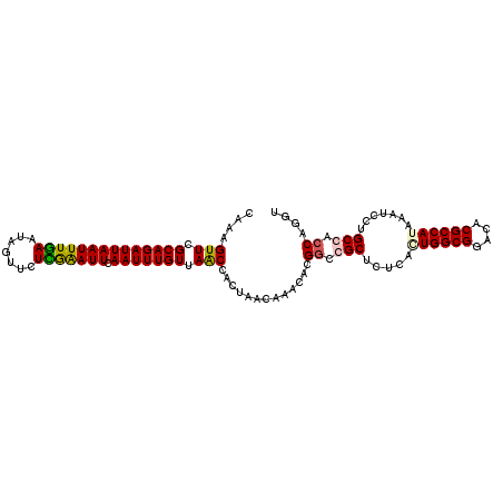 secondary structure