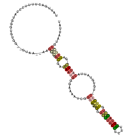 secondary structure