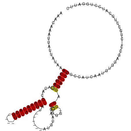 secondary structure