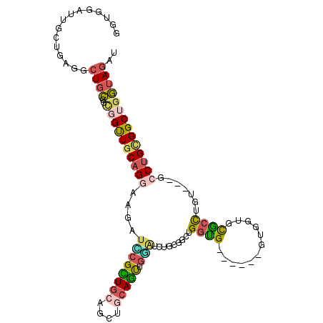 secondary structure