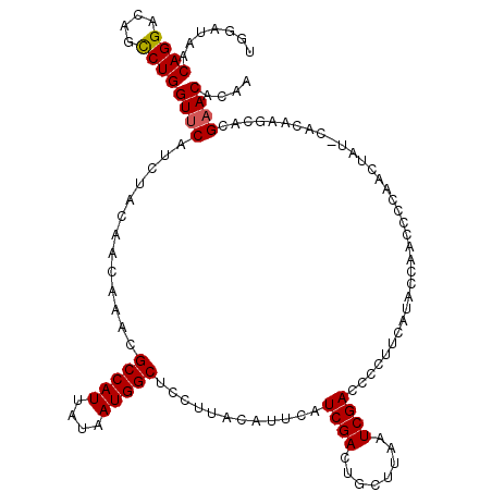 secondary structure