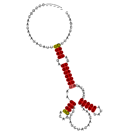 secondary structure