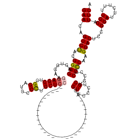 secondary structure